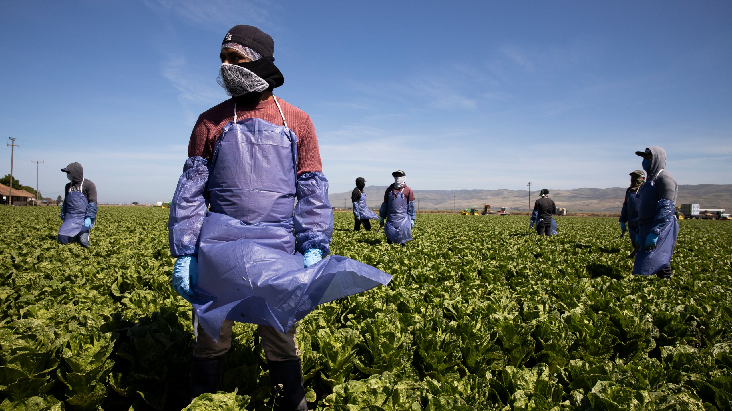 Farmworkers from Fresh Harvest maintain a safe distance as a machine is moved on April 27, 2020 in Greenfield. (Brent Stirton/Getty Images)