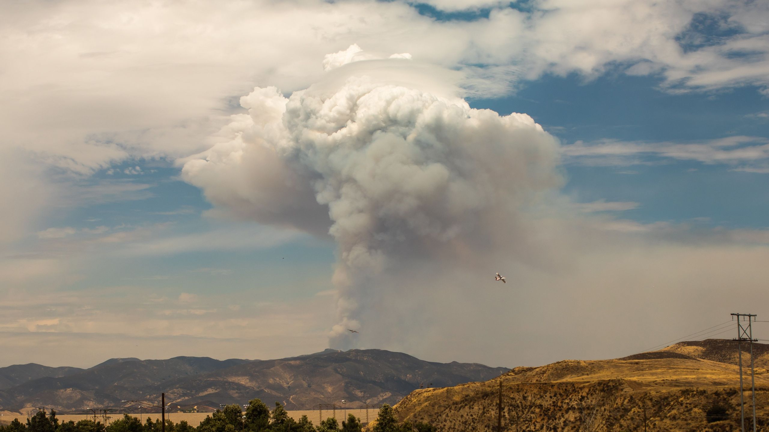 A plume of smoke from the Lake Fire in the Angeles National Forest is seen from Castaic, California on Aug. 13, 2020. (APU GOMES/AFP via Getty Images)