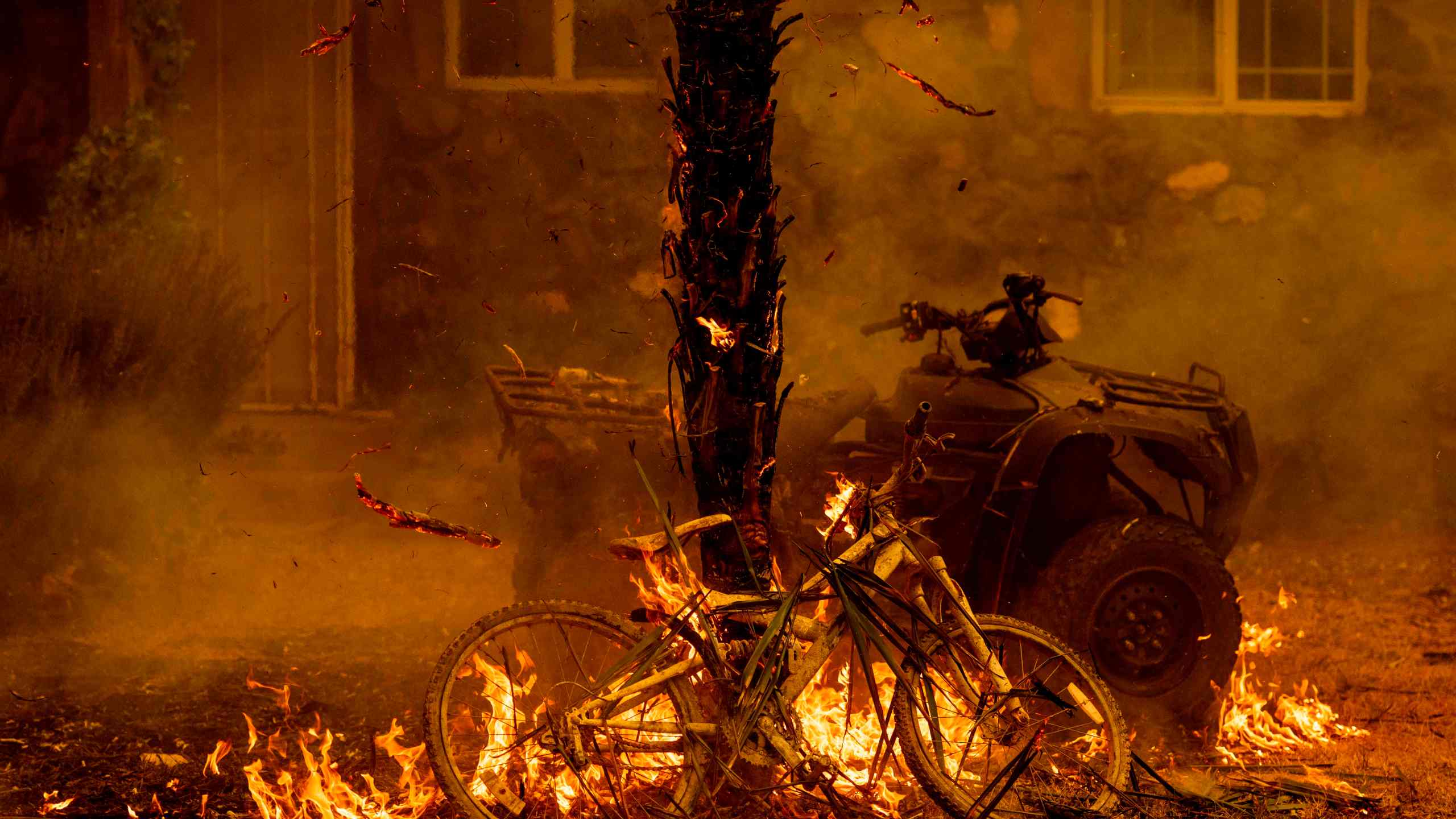 A bicycle and palm tree burn at a residence during the LNU Lightning Complex fire in the Spanish Flat area of Napa, California on Aug. 18, 2020. (JOSH EDELSON/AFP via Getty Images)