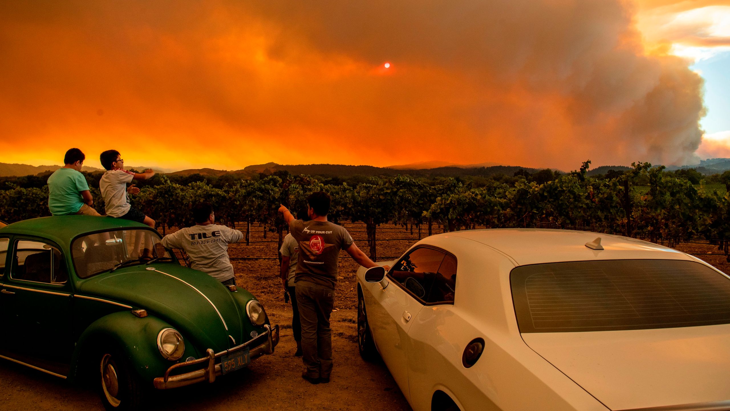 People watch the Walbridge fire, part of the larger LNU Lightning Complex fire, from a vineyard in Healdsburg on Aug. 20, 2020. (JOSH EDELSON/AFP via Getty Images)