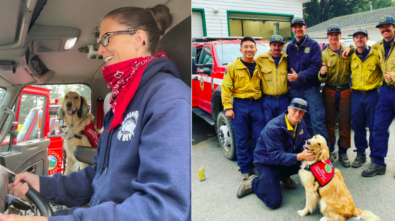 Kerith, a pet therapy dog, poses with firefighters in Marin County in 2020. (Heidi Carmen via CNN)