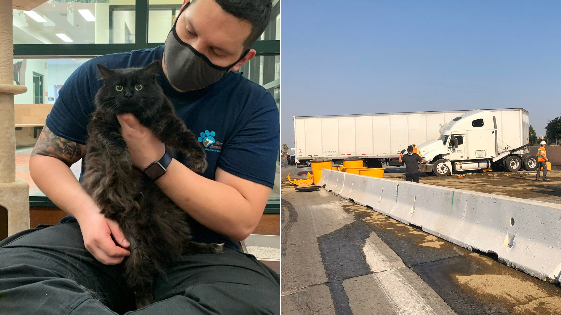 Left, an undated photo from the Riverside County Department of Animal Services shows Miss Kitty receiving car after the big rig she was in crashed in Banning. At right, a photo released by Caltrans shows the aftermath of the collision on Aug. 20, 2020.