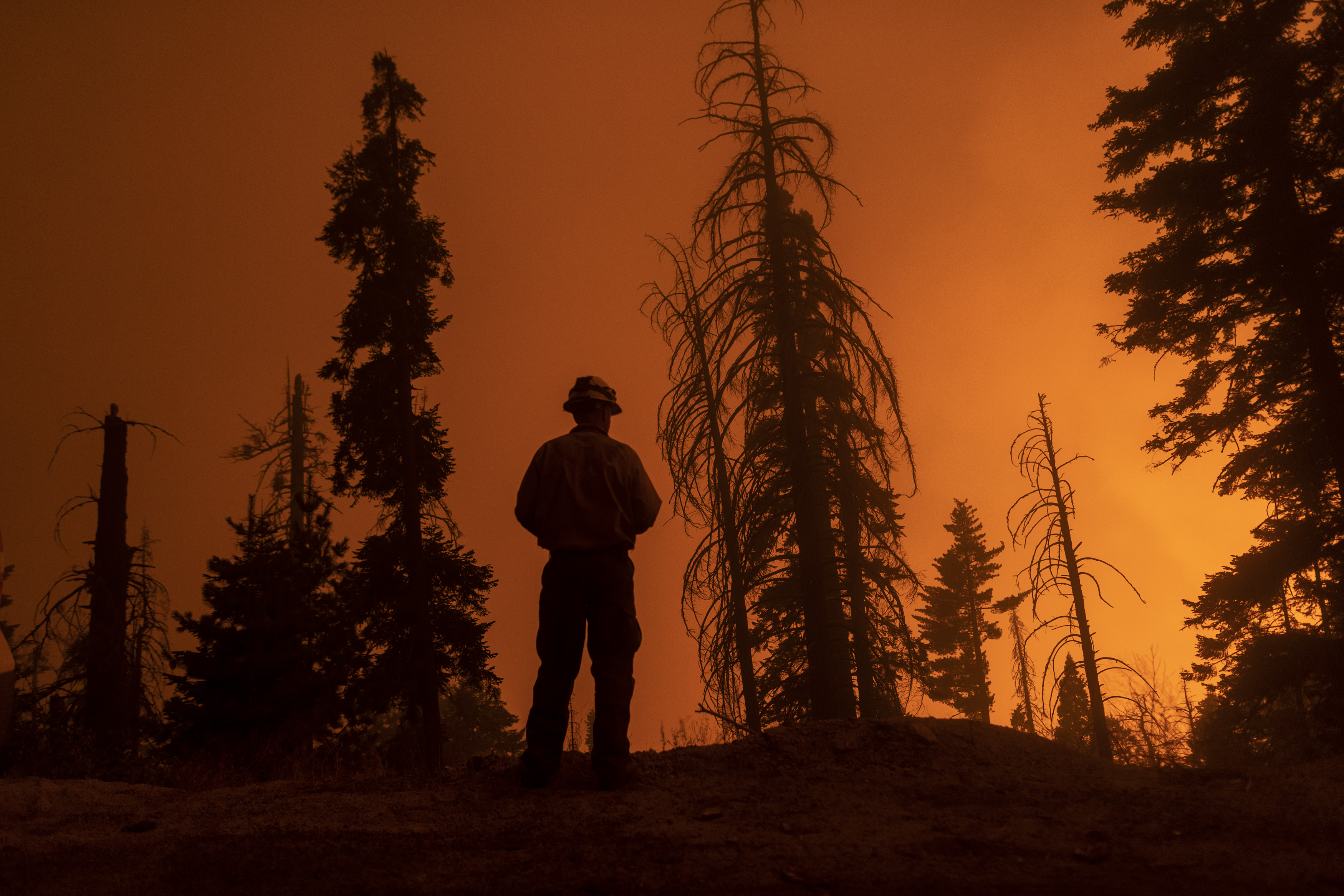 A firefighter keeps watch as flames advance along the Western Divide Highway during the SQF Complex Fire near Camp Nelson on Sept. 14, 2020. (David McNew / Getty Images)