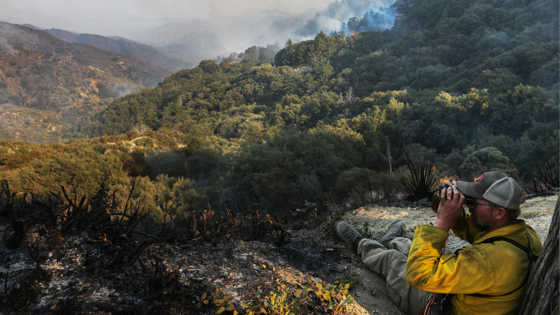 A firefighter keeps lookout from a ridge as smoke drifts during the Bobcat Fire in the Angeles National Forest on Sept. 23, 2020 near Pasadena. (Mario Tama/Getty Images)