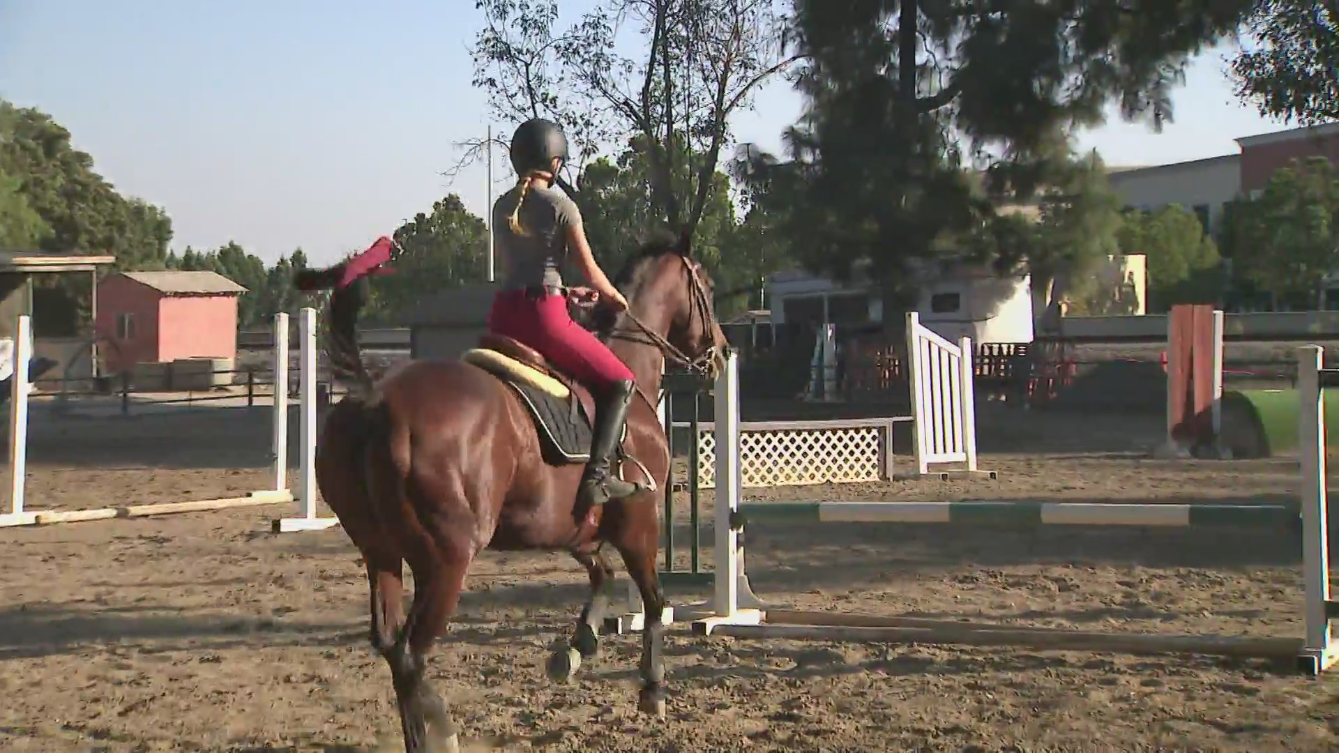 Anaheim Equestrian Center (KTLA)