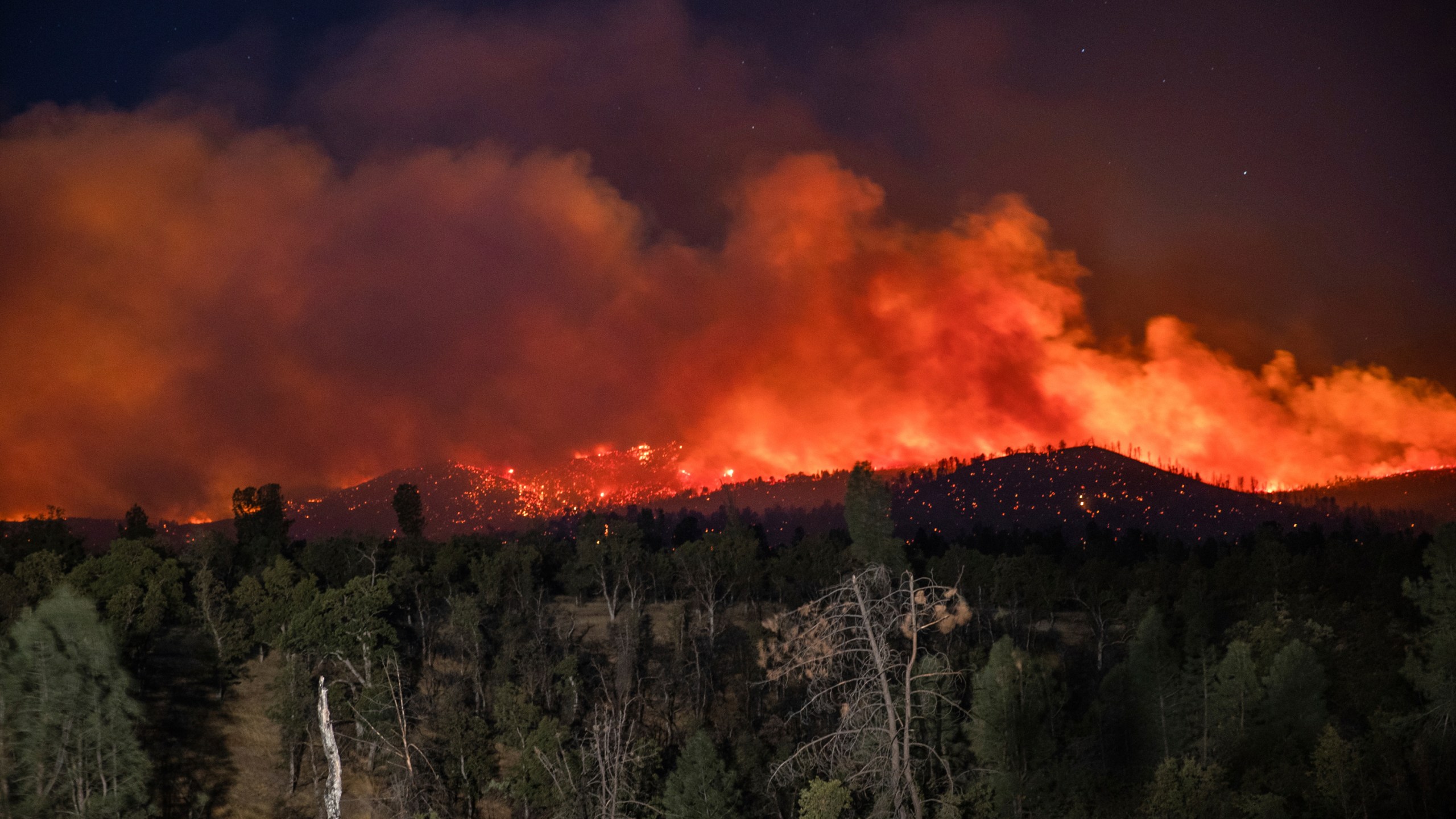 Flame are visible from the Zogg Fire on Clear Creek Road near Igo, Calif., on Monday, Sep. 28, 2020. (AP Photo/Ethan Swope)