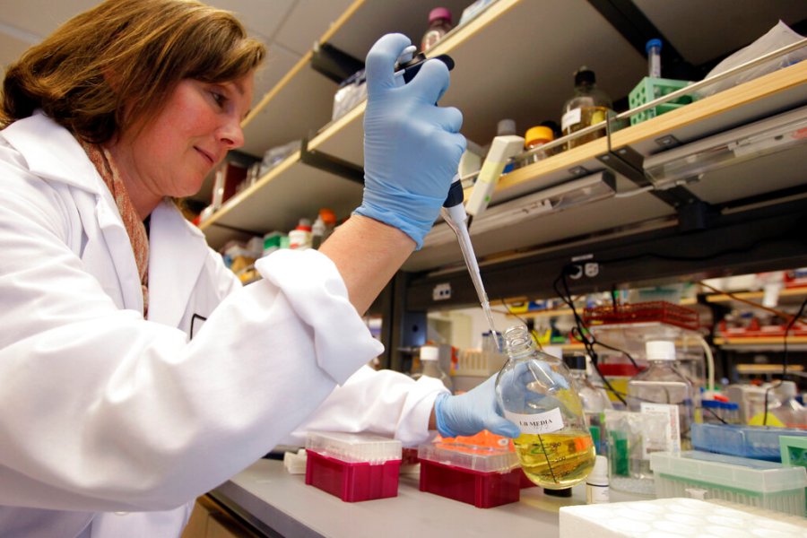 In this March 16, 2012, file photo, researcher Terry Storm works in a stem cell research lab at the Lorry I. Lokey Stem Cell Research Building on the Stanford University campus in Palo Alto. (AP Photo/Paul Sakuma, File)