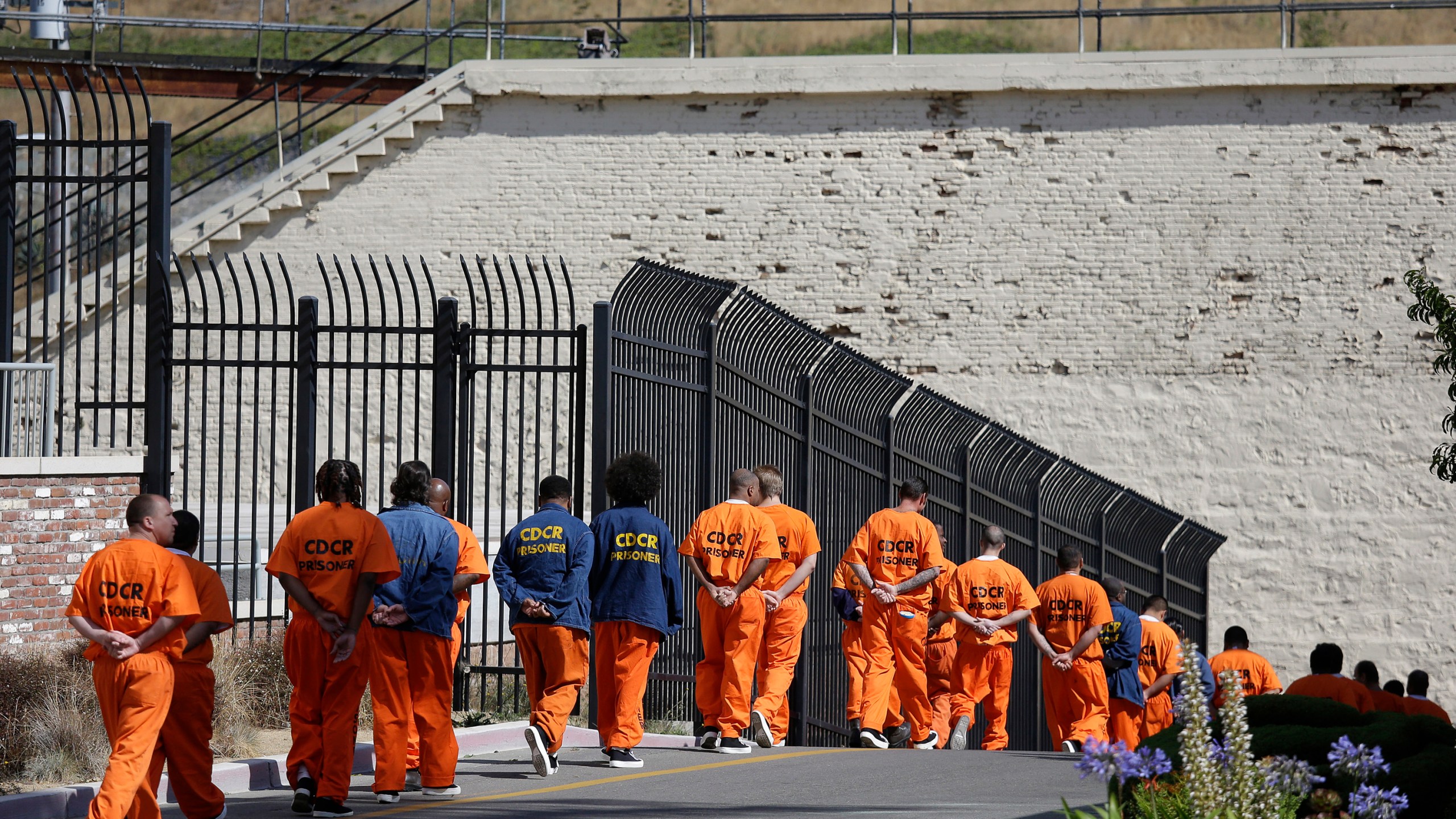 In this Aug. 16, 2016, file photo, general population inmates walk in a line at California's San Quentin State Prison. (AP Photo/Eric Risberg, File)