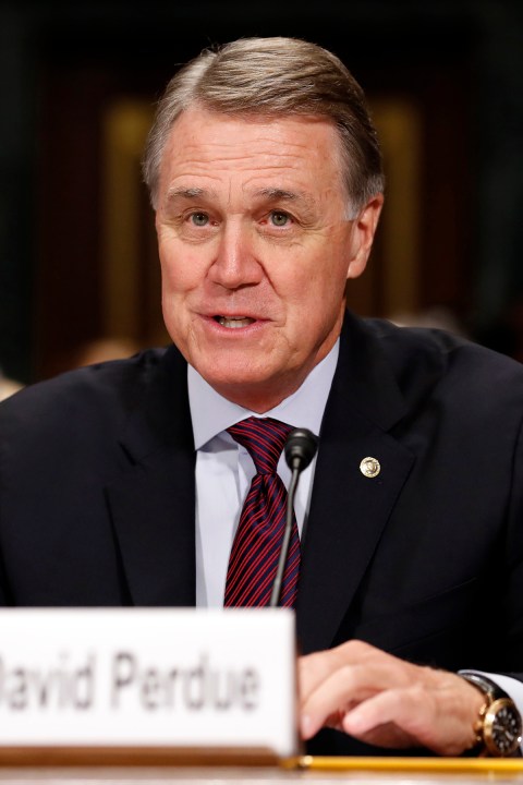 Sen. David Perdue, R-Georgia. (AP Photo/Alex Brandon)