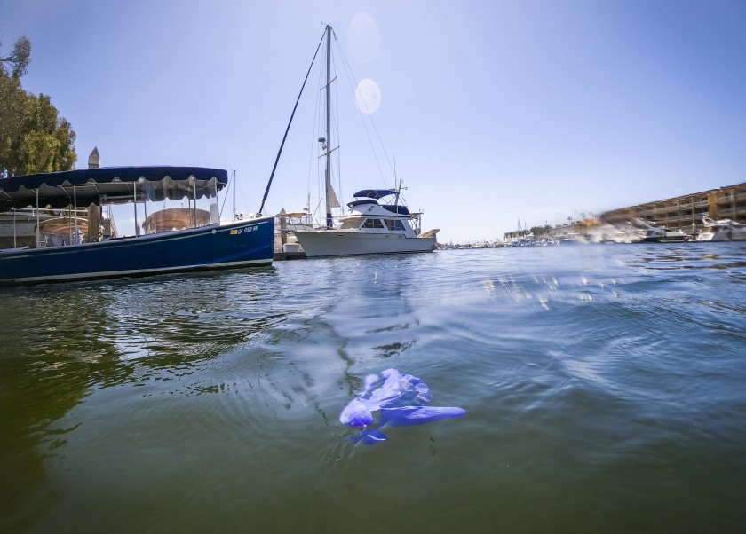 A glove floats in Newport Harbor after being discarded in Newport Beach in April. (Allen J. Schaben / Los Angeles Times)