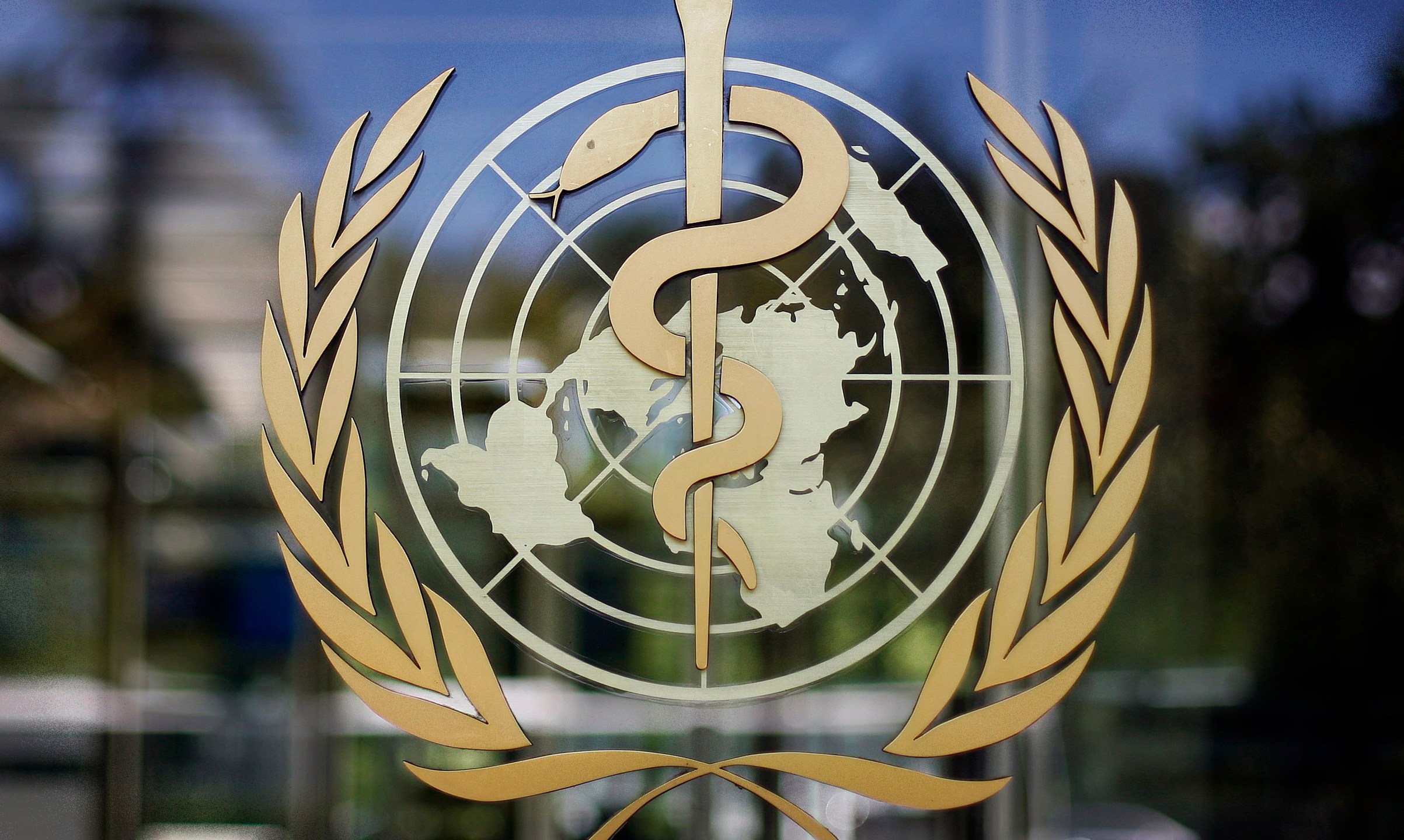 The World Health Organization logo is seen at the WHO headquarters in Geneva, Switzerland in this June 11, 2009 file photo. (Anja Niedringhaus/Associated Press)