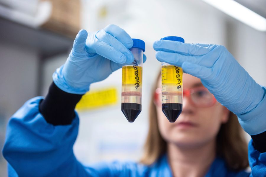 In this undated file photo issued by the University of Oxford on Nov. 23, 2020, a researcher in a laboratory at the Jenner Institute in Oxford, England, works on the coronavirus vaccine developed by AstraZeneca and Oxford University. (University of Oxford / John Cairns via Associated Press)