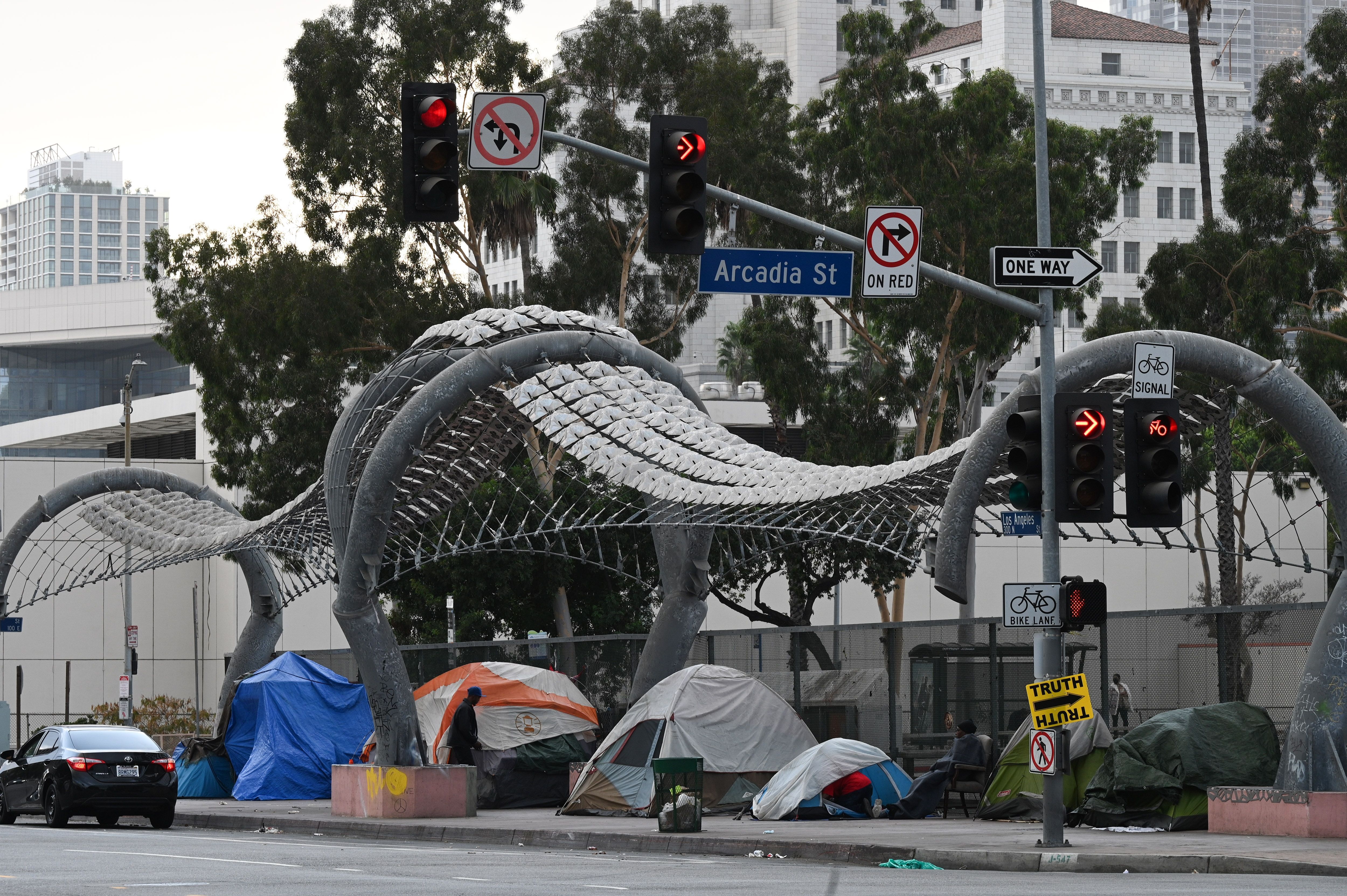 Homeless tents line a freeway overpass November 6, 2020 in Los Angeles, California (Robyn Beck / AFP via Getty Images)