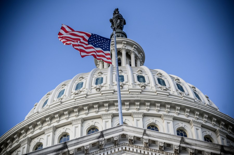 The U.S. Capitol building is seen on a cold and sunny winter day as Congress is in session in Washington on Dec. 29, 2020. (ERIC BARADAT/AFP via Getty Images)