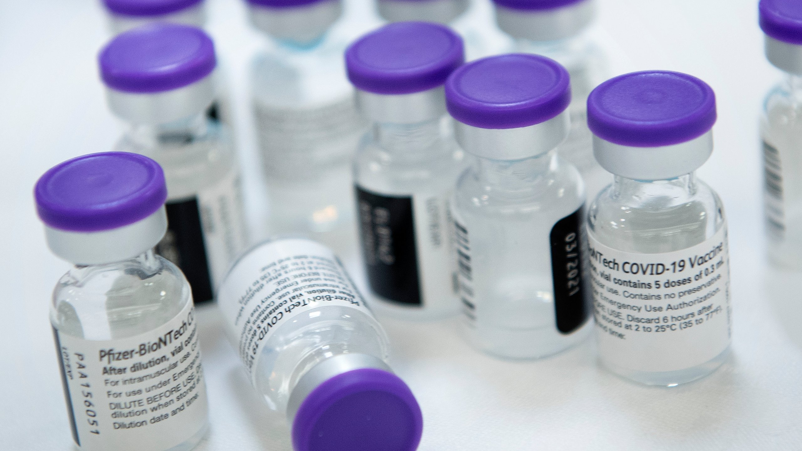 This file photo shows vials of Pfizer COVID-19 vaccine in Virginia on Dec. 30, 2020. (Brendan Smialowski/AFP via Getty Images)