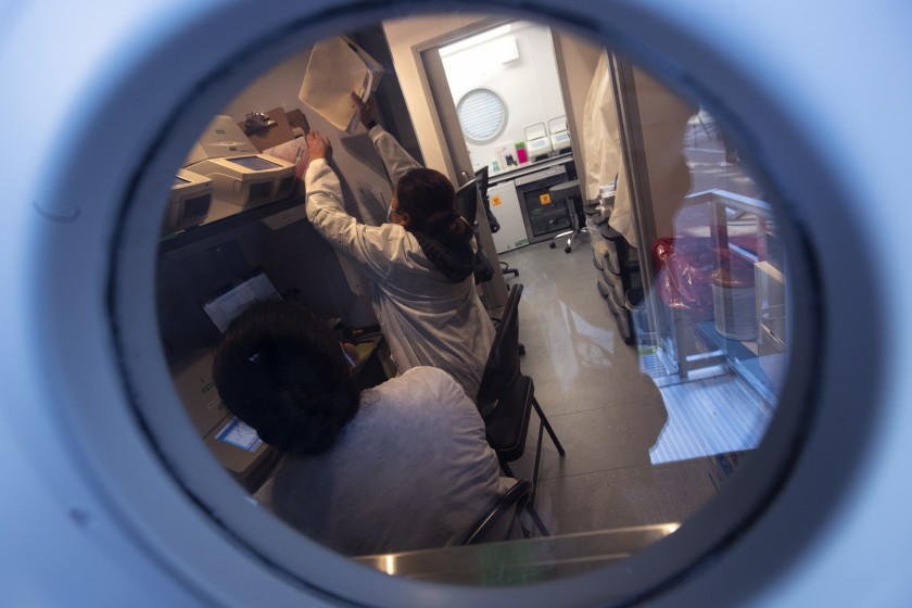 Lab staff processes COVID-19 rapid tests at the onsite LAX testing lab in Los Angeles. (Brian van der Brug / Los Angeles Times)