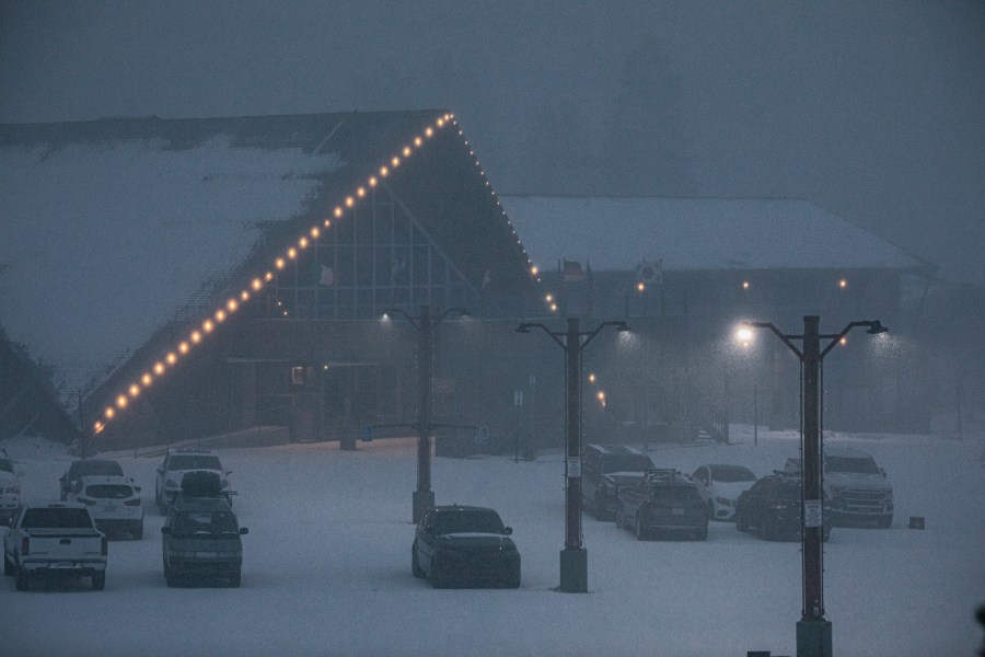 Snow falls in Mammoth Mountain on Nov. 18, 2020.(Peter Morning / MMSA)