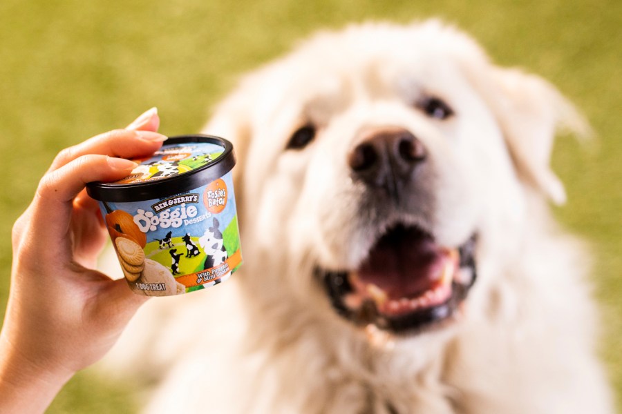 This photo provided by Ben & Jerry’s shows Ben & Jerry’s dog treats. (Ben & Jerry’s via AP)