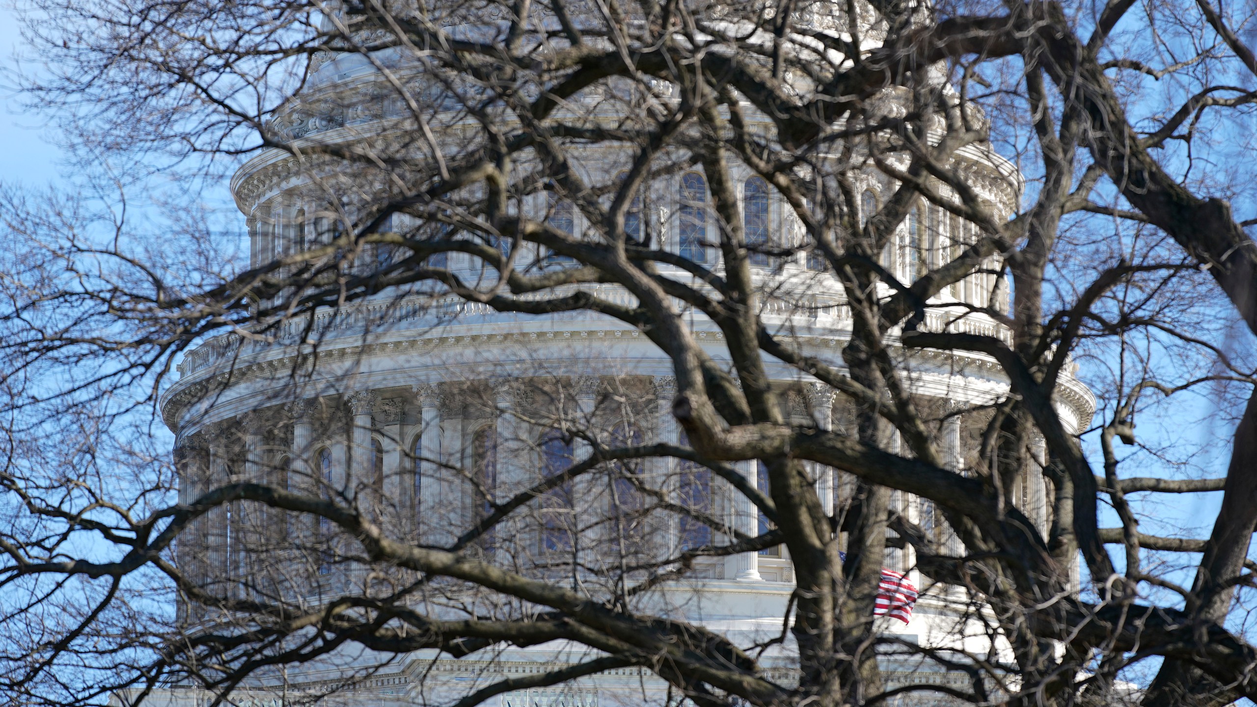 The U.S. Capitol dome stands above bare tree branches, Saturday, Jan. 9, 2021, in Washington. (AP Photo/Patrick Semansky)