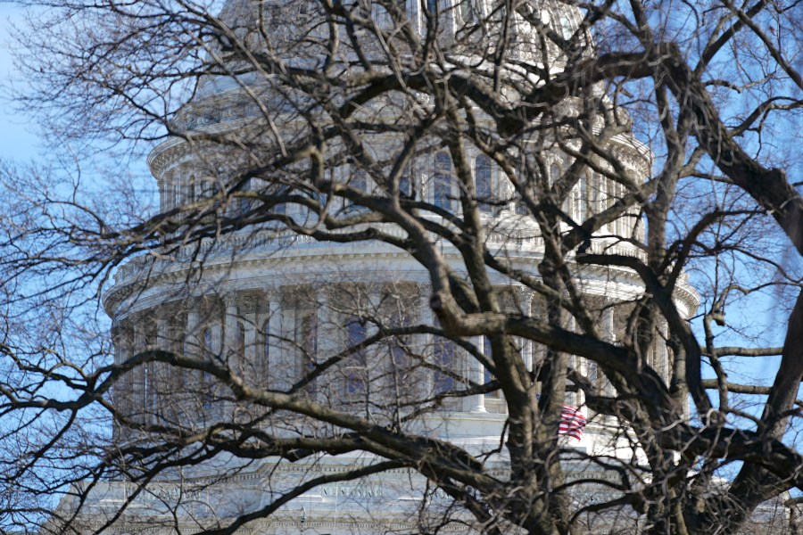 The U.S. Capitol dome stands above bare tree branches, Saturday, Jan. 9, 2021, in Washington. (AP Photo/Patrick Semansky)