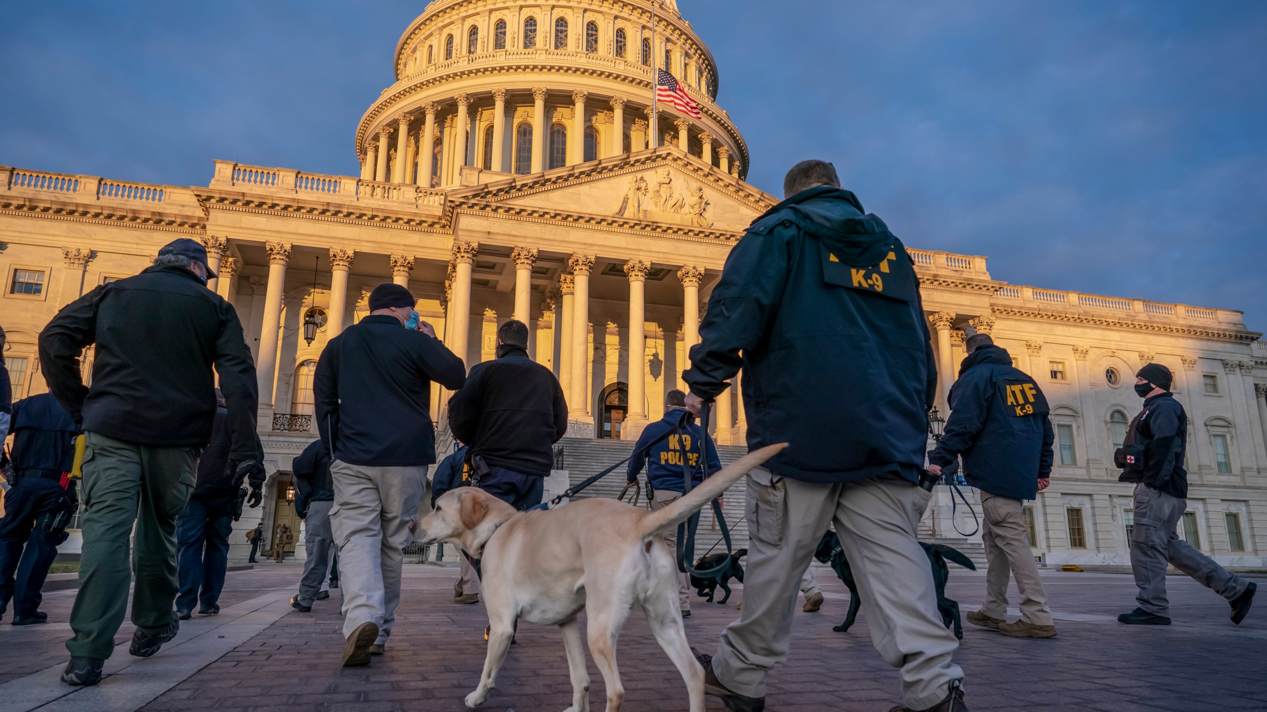 Federal K-9 units prepare for a security sweep in preparation for the inauguration ceremonies on Capitol Hill in Washington, Tuesday, Jan. 19, 2021. (AP Photo/J. Scott Applewhite)