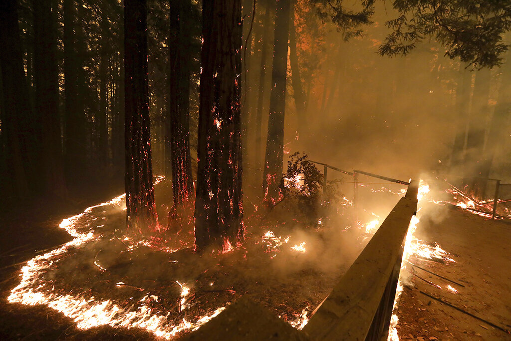 In this Aug. 20, 2020, file photo The CZU August Lightning Complex fire consumes trees and a fence along Empire Grade Road in the Santa Cruz Mountains community of Bonny Doon near Santa Cruz, Calif. (Shmuel Thler/The Santa Cruz Sentinel via AP, File)