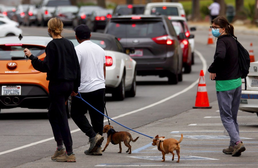 People cross the street past vehicles lined up to enter a COVID-19 testing site at Dodger Stadium on Dec. 7, 2020 in Los Angeles. (Mario Tama/Getty Images)