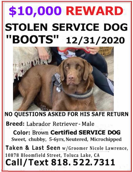 A $10,000 reward if being offered for the safe return of a service dog.