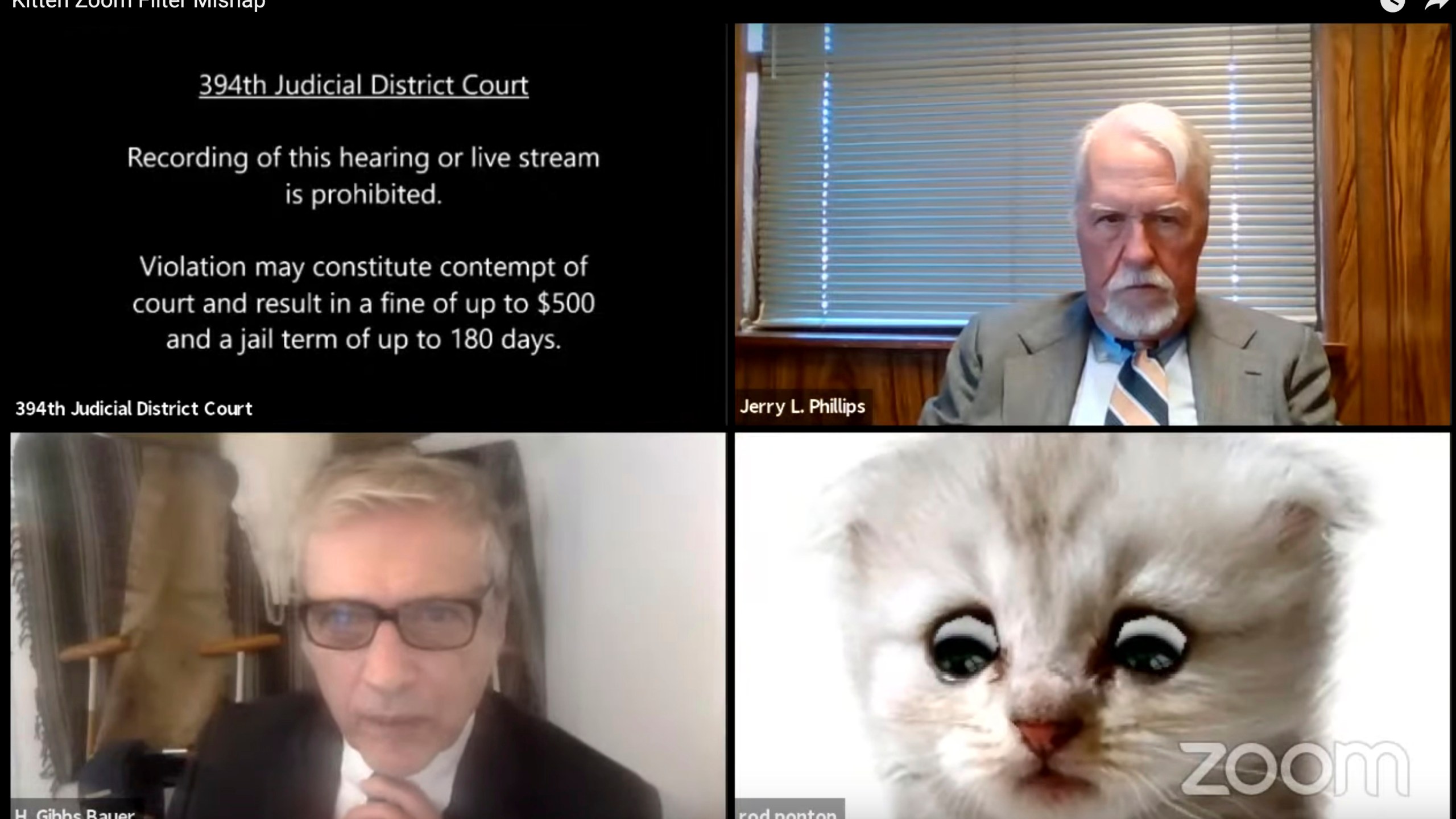 This image from video shows a hearing from the 394th Judicial District Court of Texas. The hearing took a detour when an attorney showed up looking like a kitten. A filter that had been activated on the attorney's device obscured his appearance and made him look like a cat. Judge Roy Ferguson shared the short video clip of the mishap on YouTube. The judge says everyone involved handled the situation with professionalism and grace. (Texas Department of Criminal Justice via AP)