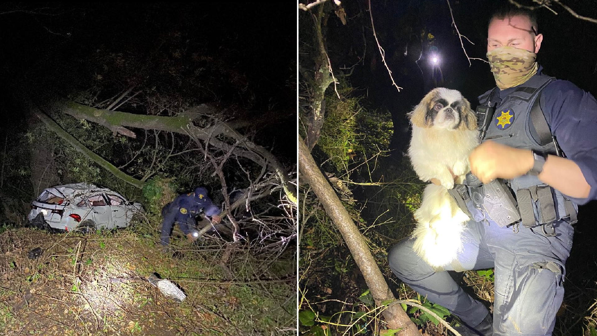 Deputies rescue a family and their dog after their vehicle apparently traveled about 150 feet off the road and 200 feet down into a ravine in Castro Valley on Feb. 14, 2021. (Alameda County Sheriff's Office)