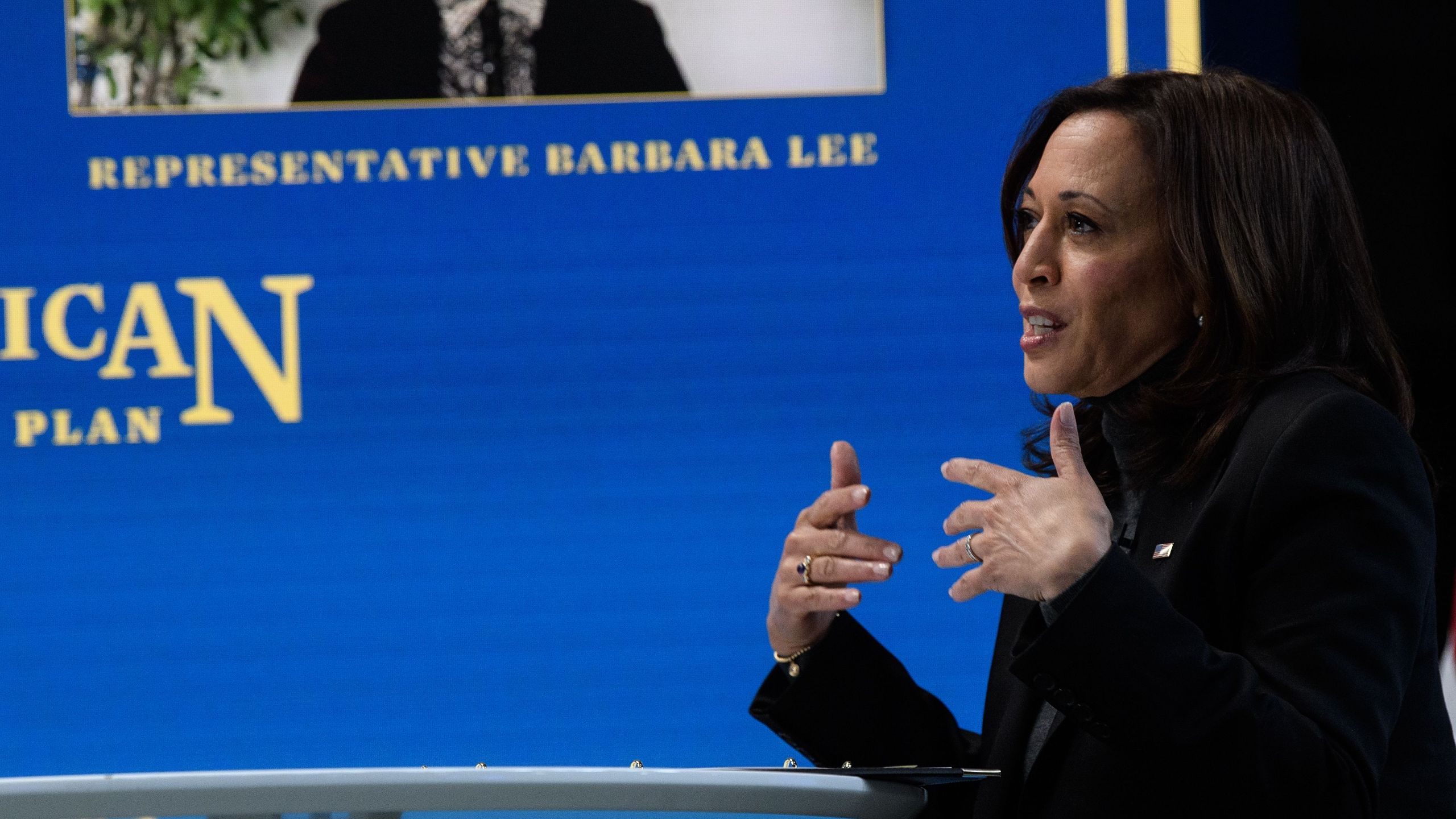 Vice President Kamala Harris speaks during a virtual roundtable with lawmakers and women leaders from advocacy organizations, in Washington, DC, on February 18, 2021. (NICHOLAS KAMM/AFP via Getty Images)