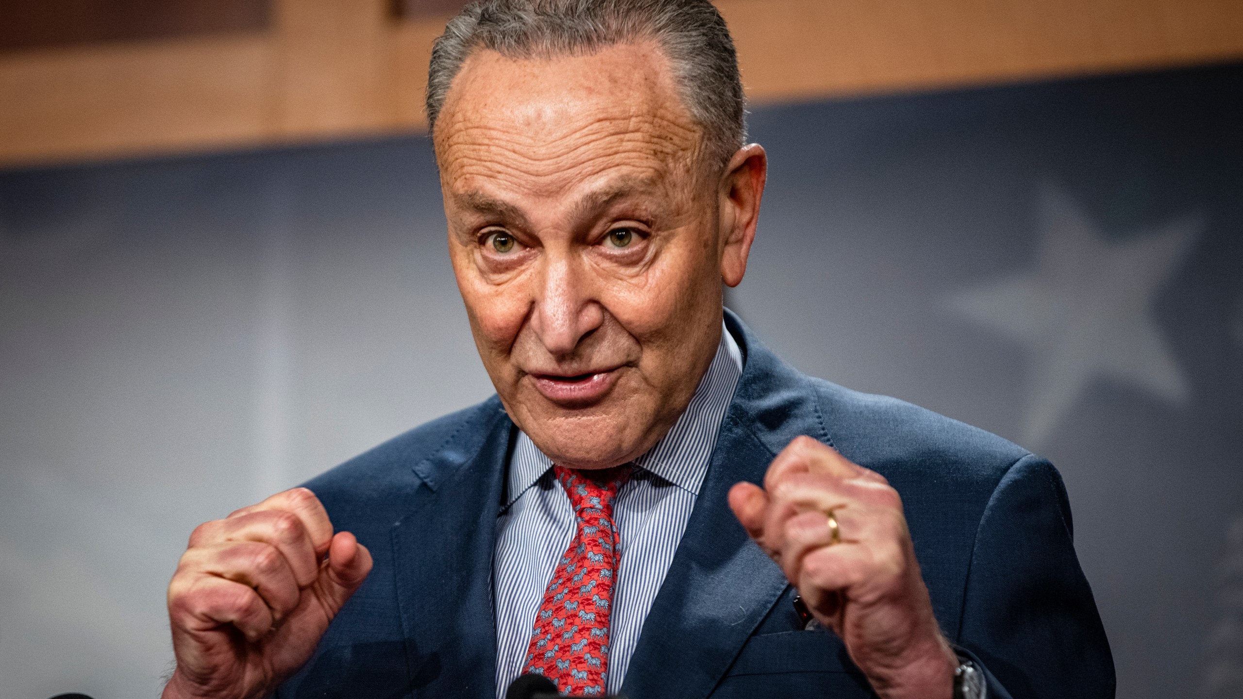 Senate Majority Leader Chuck Schumer, D-N.Y., speaks during a news conference at the Capitol in Washington, Tuesday, March 16, 2021. (Samuel Corum/Pool via AP)