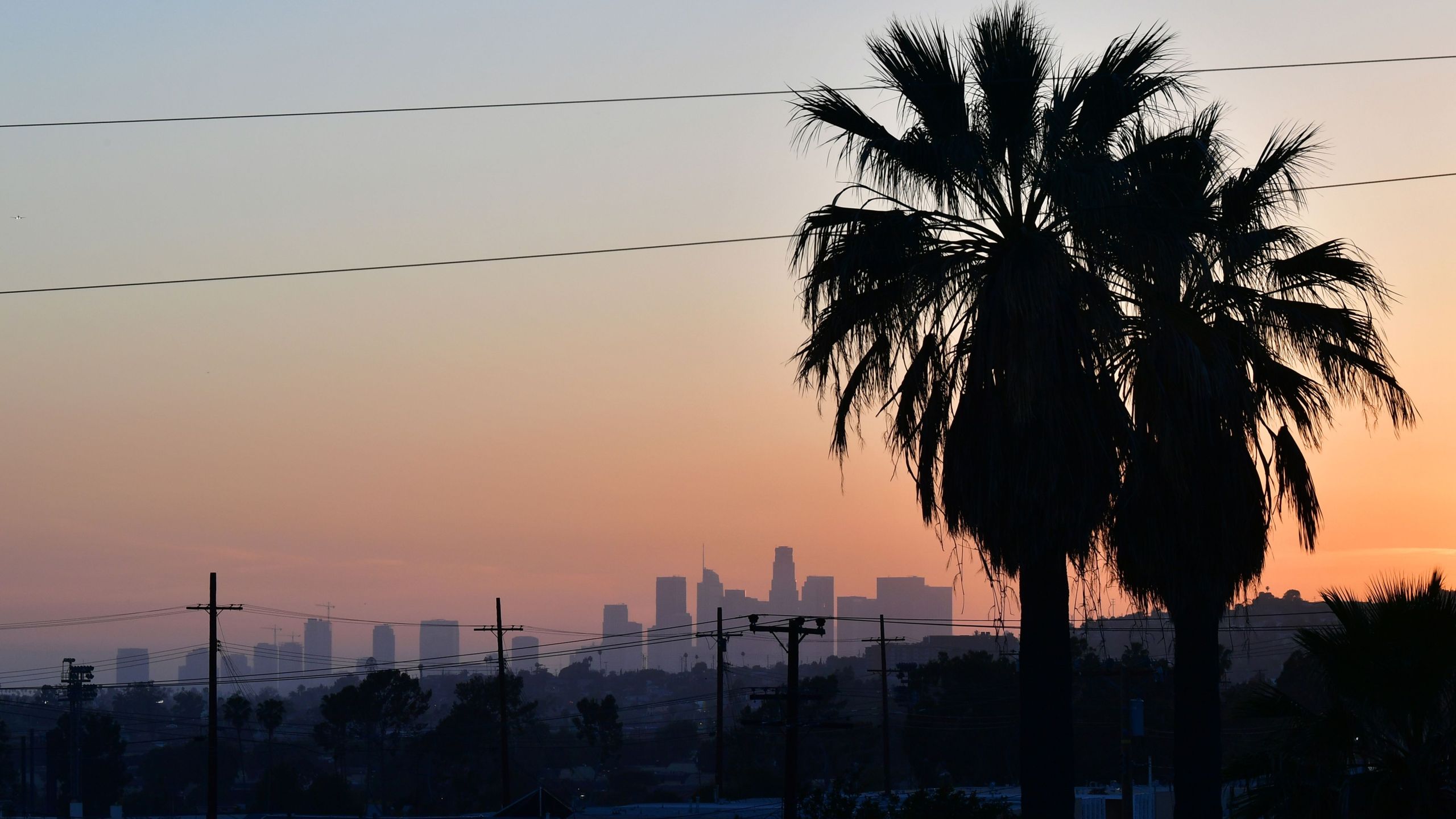 A layer of pollution can be seen hovering over the downtown skyline past a pair of palm trees in Los Angeles on April 24, 2019. (FREDERIC J. BROWN/AFP via Getty Images)