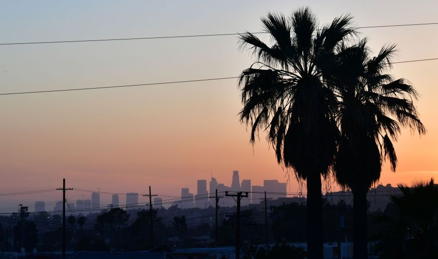 A layer of pollution can be seen hovering over the downtown skyline past a pair of palm trees in Los Angeles on April 24, 2019. (FREDERIC J. BROWN/AFP via Getty Images)