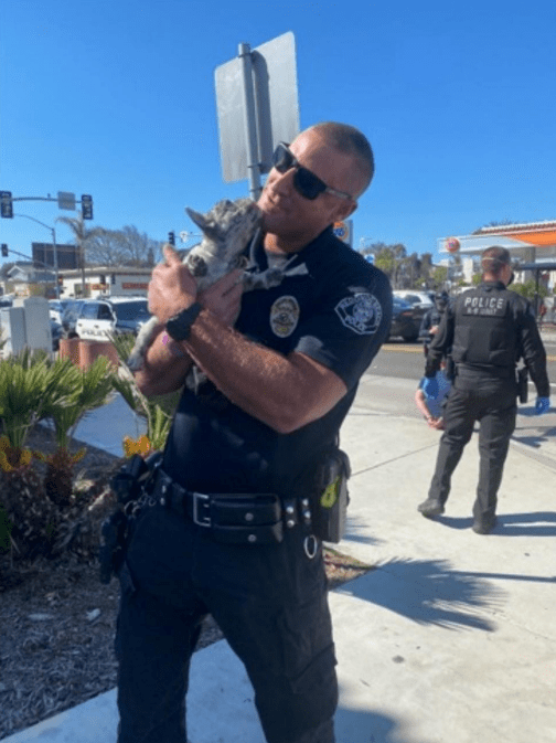 A Redondo Beach officer holds a dog recovered after a robbery on March 12, 2021. (Redondo Beach Police Department)