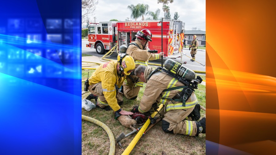 Two dogs died in a house fire in Redlands on March 14, 2021. (Tod Sudmeier/Redlands Fire Department)