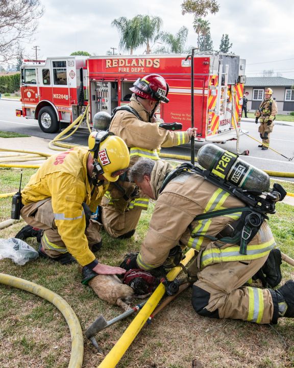 Two dogs died in a house fire in Redlands on March 14, 2021. (Tod Sudmeier/Redlands Fire Department)