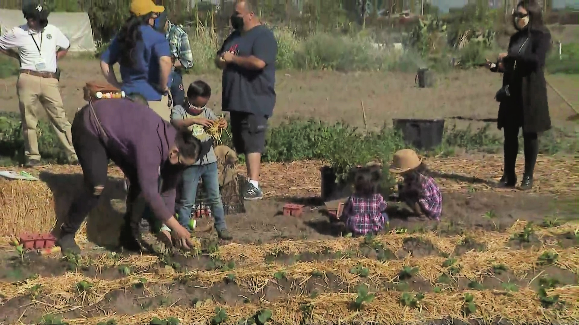 Los Angeles County Board of Supervisors Chair Hilda Solis hosted a day of service Saturday in honor of Cesar Chavez Day in South El Monte March 27, 2021. (KTLA)