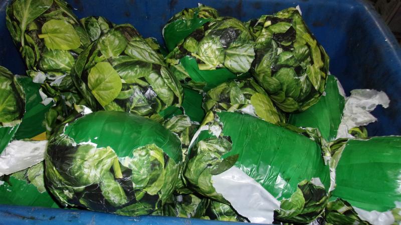 The meth packages wrapped in photos of spinach are shown in a photo released by U.S. Customs and Border Protection officials on March 12, 2021.