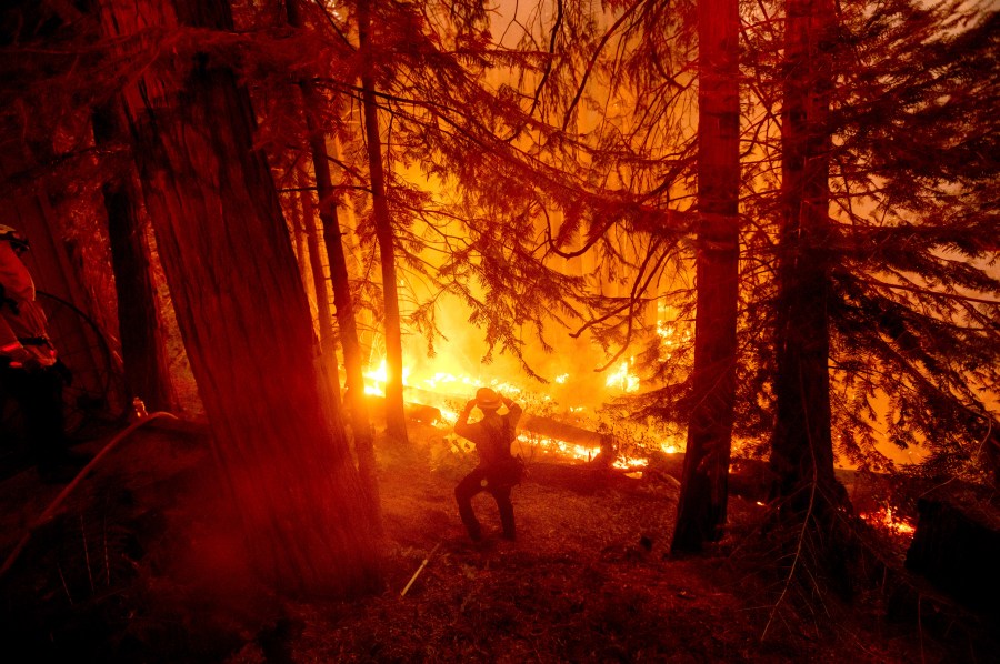 In this Sept. 7, 2020, file photo, a firefighter battles the Creek Fire in the Shaver Lake community of Fresno County, Calif. California will authorize $536 million for wildfire mitigation and forest management projects before the worst of the fire season strikes later this year, Gov. Gavin Newsom and legislative leaders said Thursday, April 8, 2021. (AP Photo/Noah Berger, File)