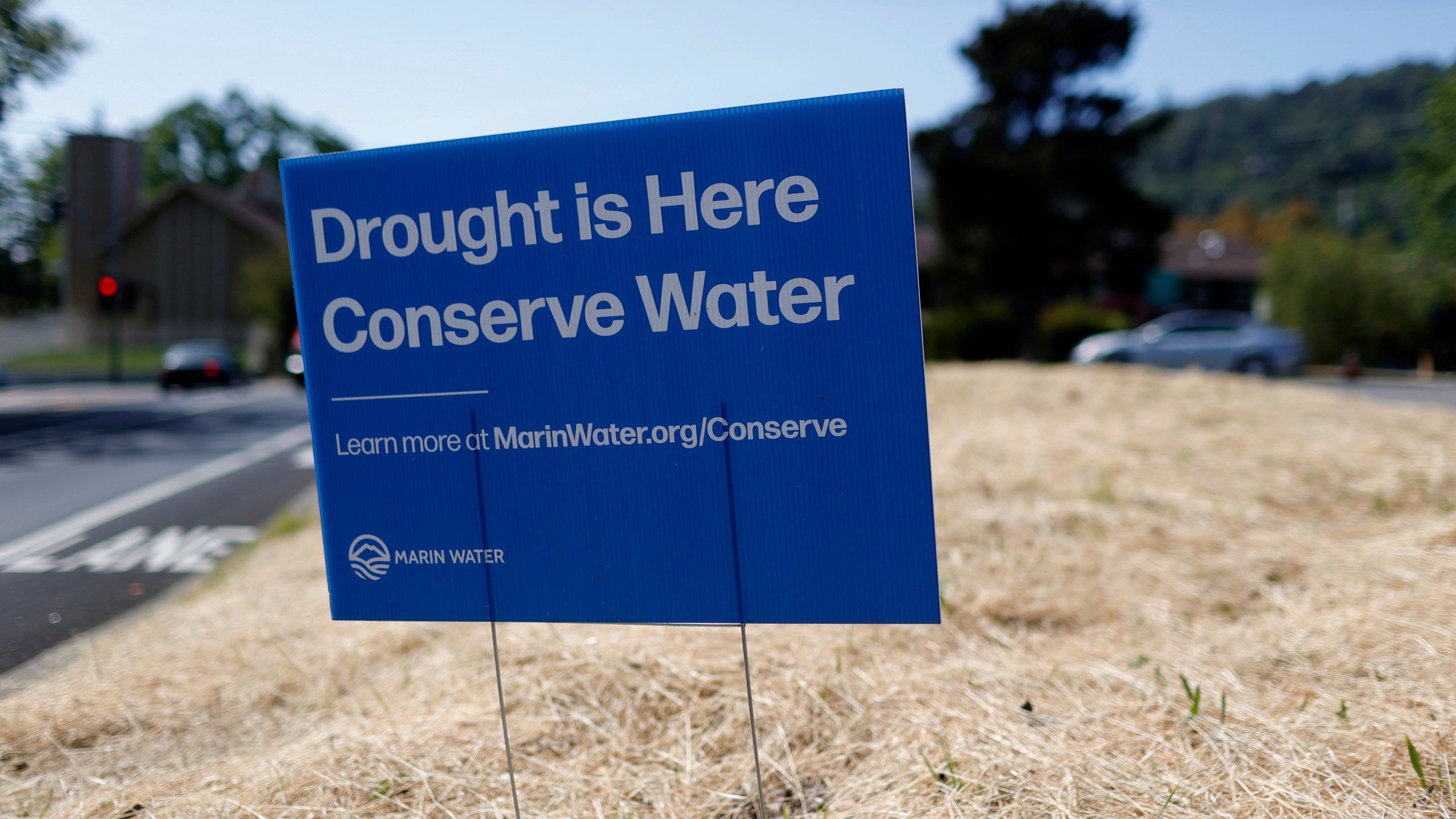 A sign advocating water conservation is posted in a field of dry grass on April 23, 2021 in San Anselmo, California. (Justin Sullivan/Getty Images)