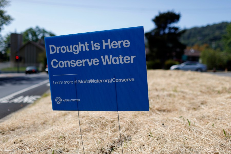 A sign advocating water conservation is posted in a field of dry grass on April 23, 2021 in San Anselmo, California. (Justin Sullivan/Getty Images)