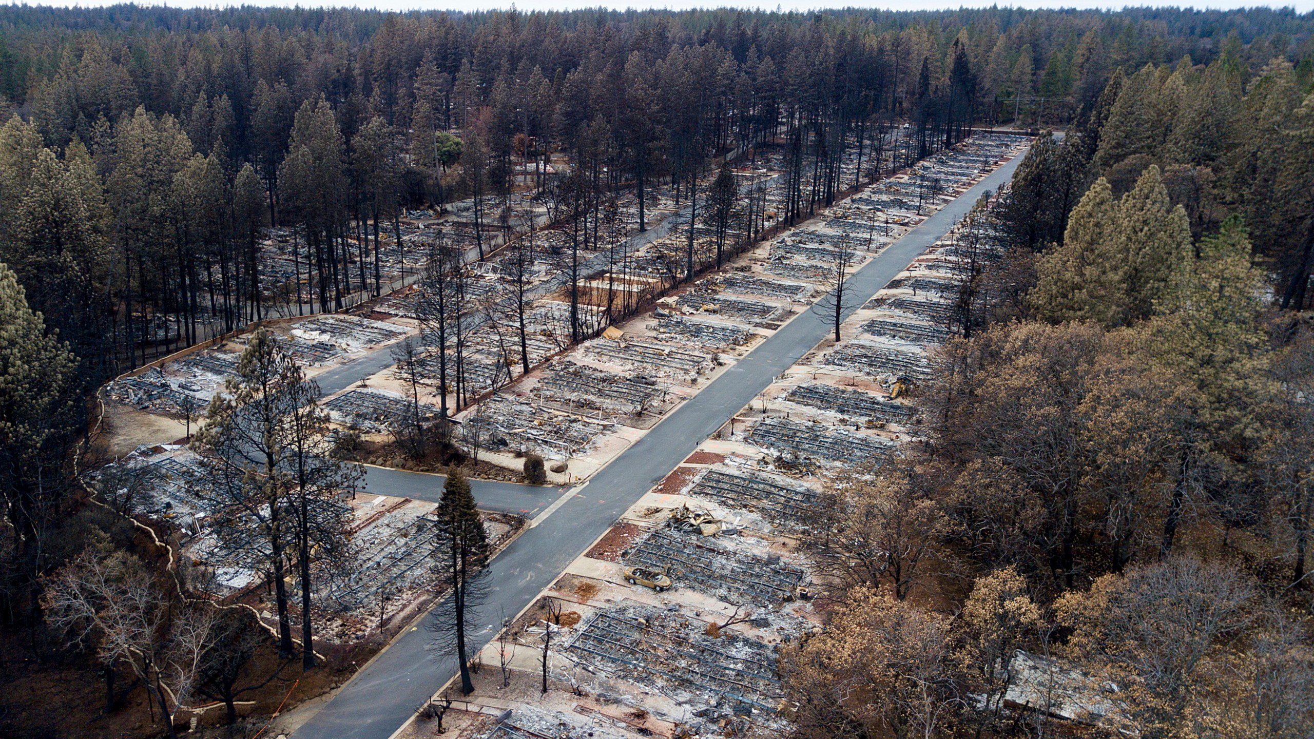 In this Dec. 3, 2018, file photo, charred footprints of homes leveled by the Camp Fire line the streets at the Ridgewood Mobile Home Park retirement community in Paradise, Calif. (AP Photo/Noah Berger, File)