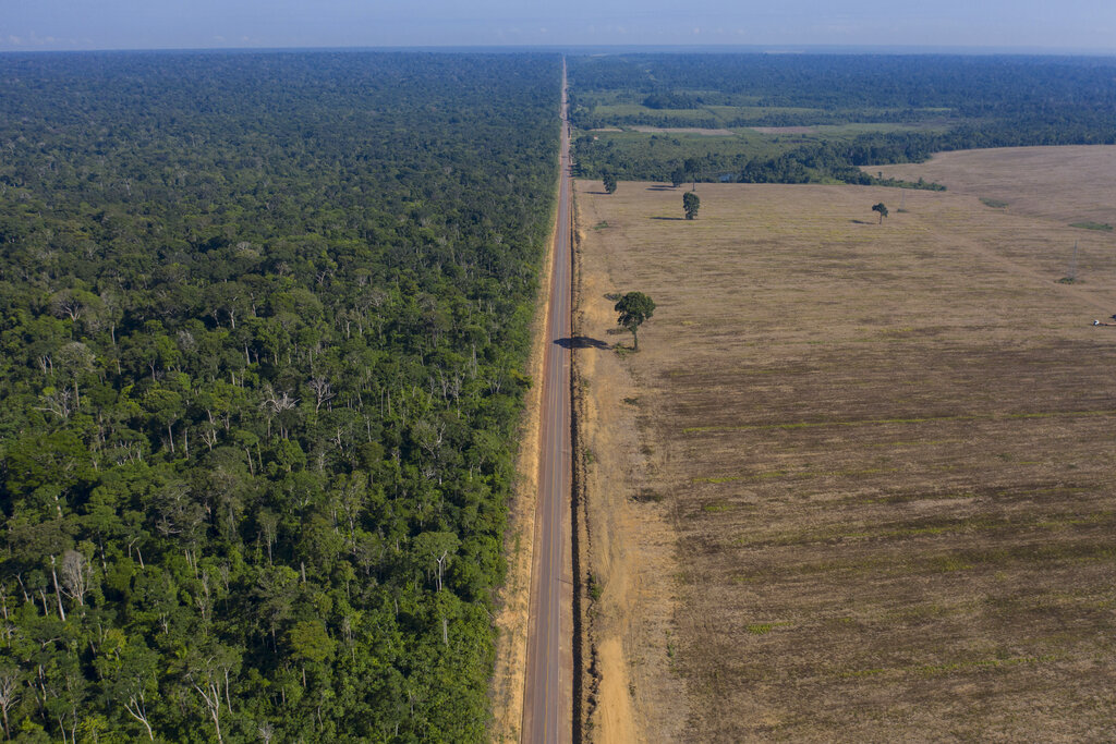 In this Nov. 25, 2019 file photo, highway BR-163 stretches between the Tapajos National Forest, left, and a soy field in Belterra, Para state, Brazil. (AP Photo/Leo Correa, File)