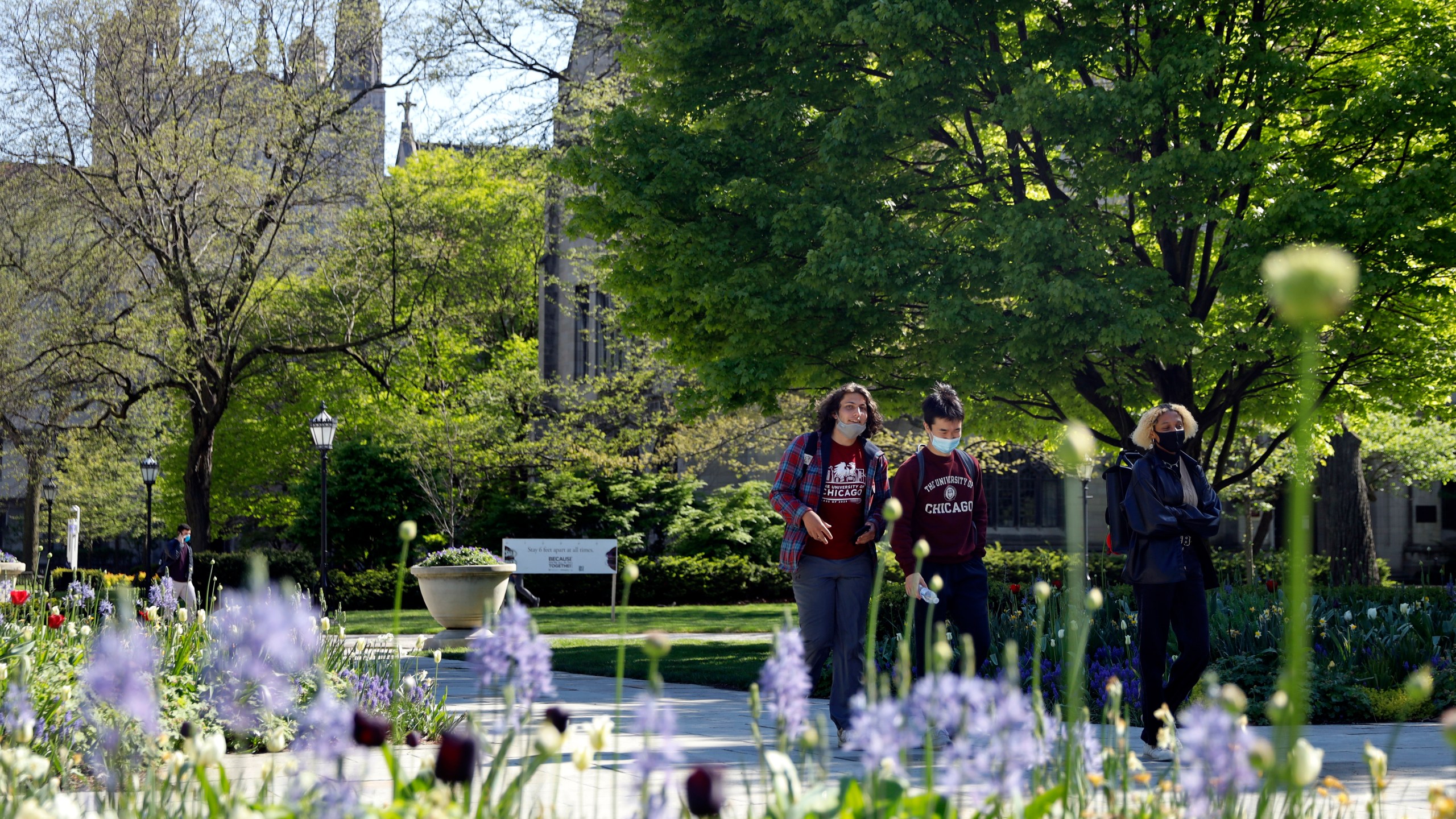 Students wearing masks make their way through the University of Chicago campus, Thursday, May 6, 2021, in Chicago. (AP Photo/Shafkat Anowar)