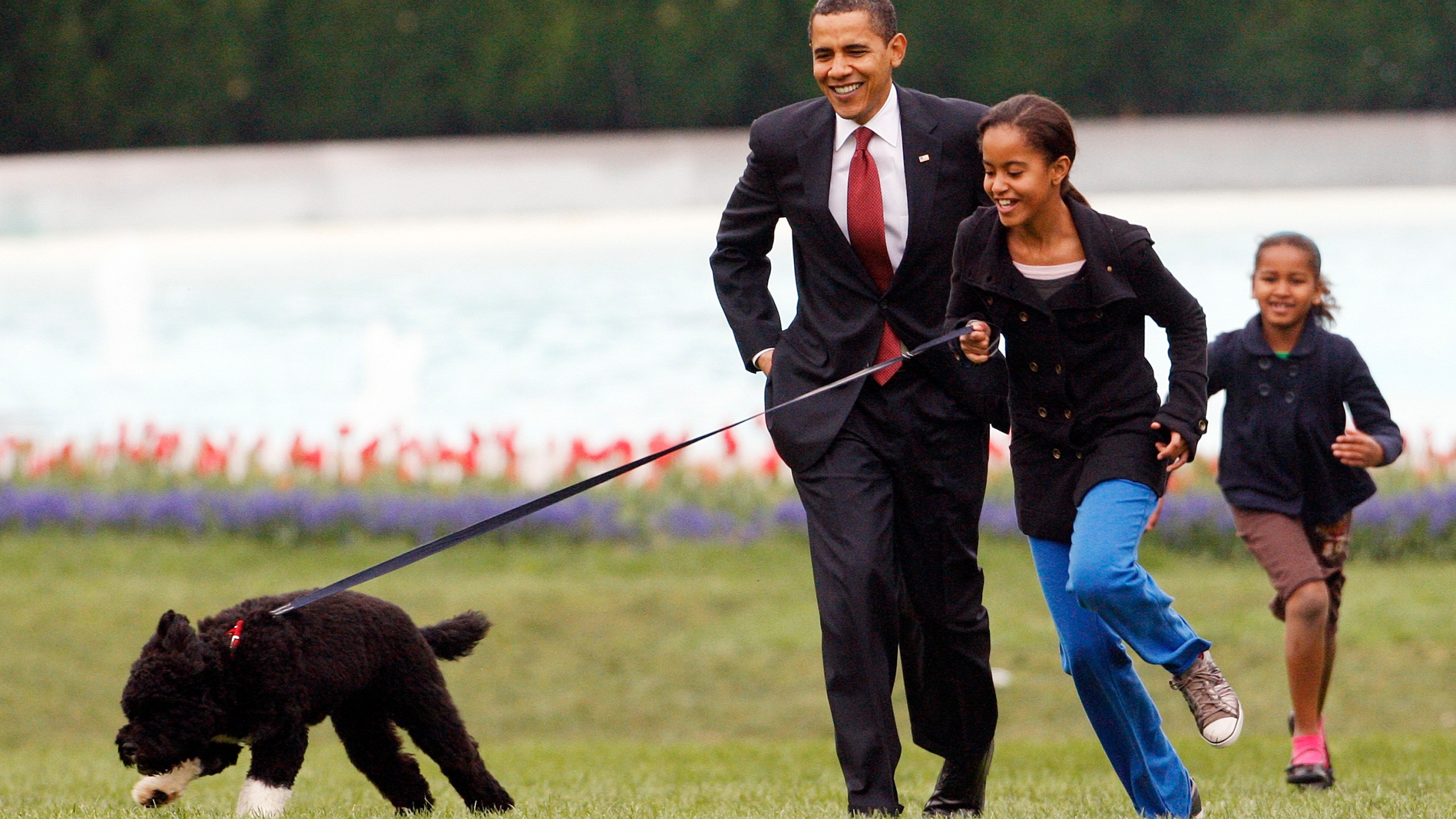 In this April 14, 2009, file photo Malia Obama runs with Bo, followed by President Barack Obama and Sasha Obama, on the South Lawn of the White House in Washington.(AP Photo/Ron Edmonds, File)