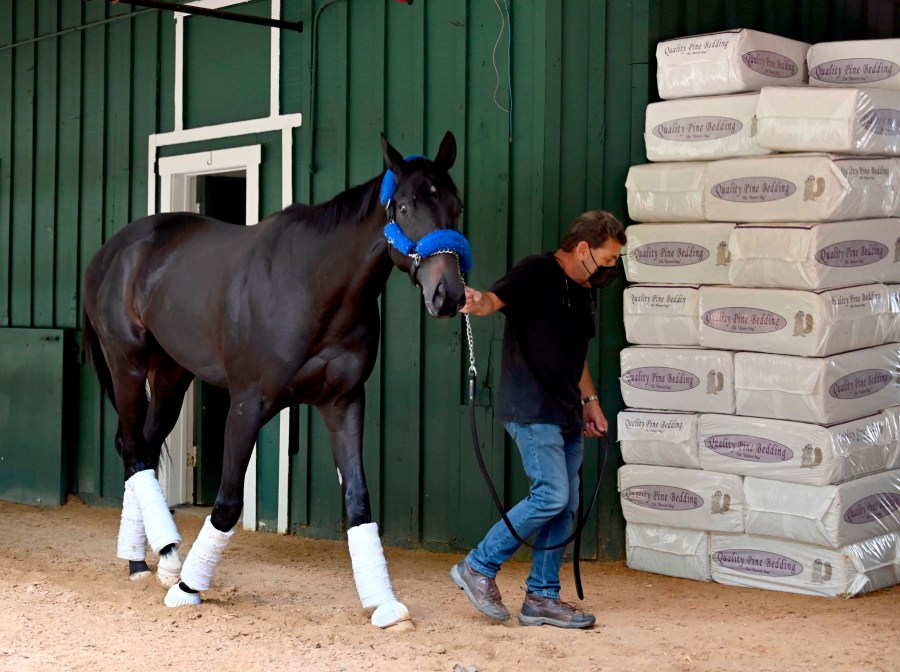 Kentucky Derby winner Medina Spirit walks around the Stakes Barn with assistant trainer Jimmy Barnes after arriving at Pimlico Race Course Monday, May 10, 2021. (Lloyd Fox/The Baltimore Sun via AP)./The Baltimore Sun via AP)