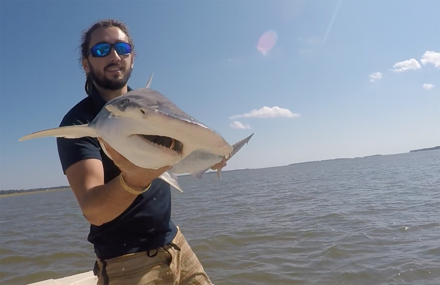 In this Sept. 2015 photo taken by Colby Griffiths on the North Edisto River in South Carolina, scientist Bryan Keller holds a bonnethead shark. Keller is among a group of scientists that found sharks use the Earth’s magnetic field as a sort of natural GPS when they navigate journeys that take them thousands of miles across the world’s oceans. (Photo courtesy Bryan Keller via AP)