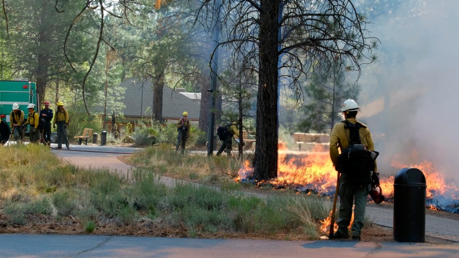 In this May 14, 2021, photo provided by the High Desert Museum, U.S. Forest Service firefighters carry out a prescribed burn on the grounds of the High Desert Museum, near Bend, Oregon. The prescribed burn is part of a massive effort in wildlands across the West to prepare for a fire season that follows the worst one on record. (Kyle Kosma/High Desert Museum via AP)