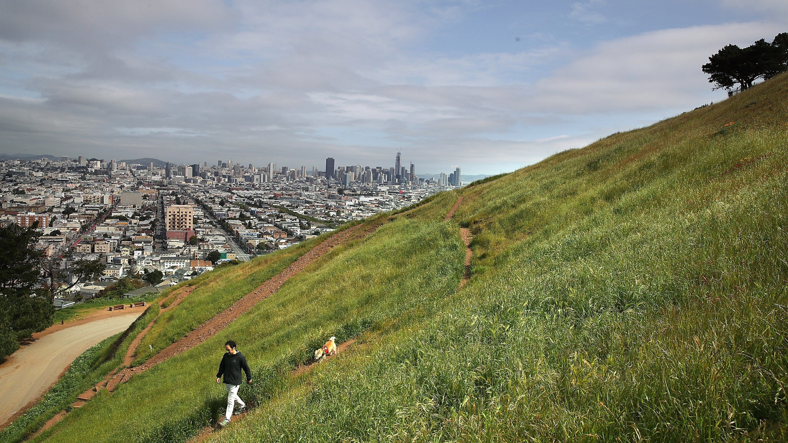 A man walks his dog at Bernal Heights Park in San Francisco in this file photo. (Justin Sullivan/Getty Images)